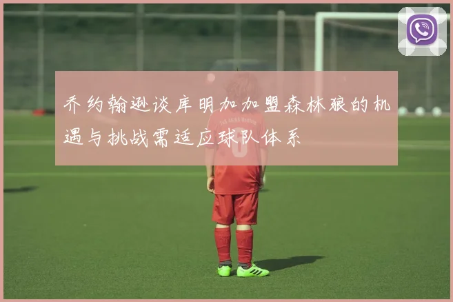 乔约翰逊谈库明加加盟森林狼的机遇与挑战需适应球队体系